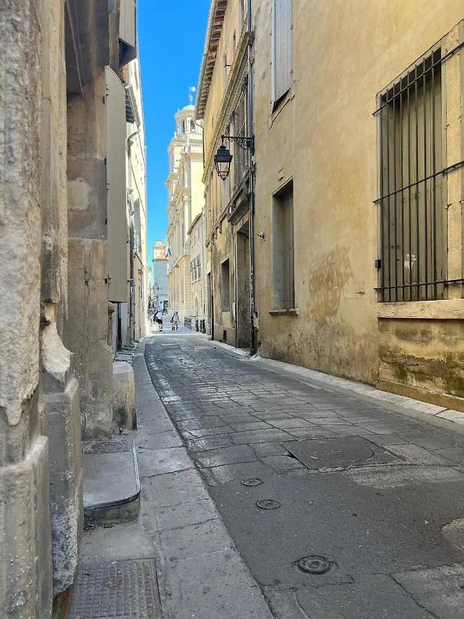 N°5 - Appartement Avec Jardin Au Coeur De L'Hypercentre Arles 0*,